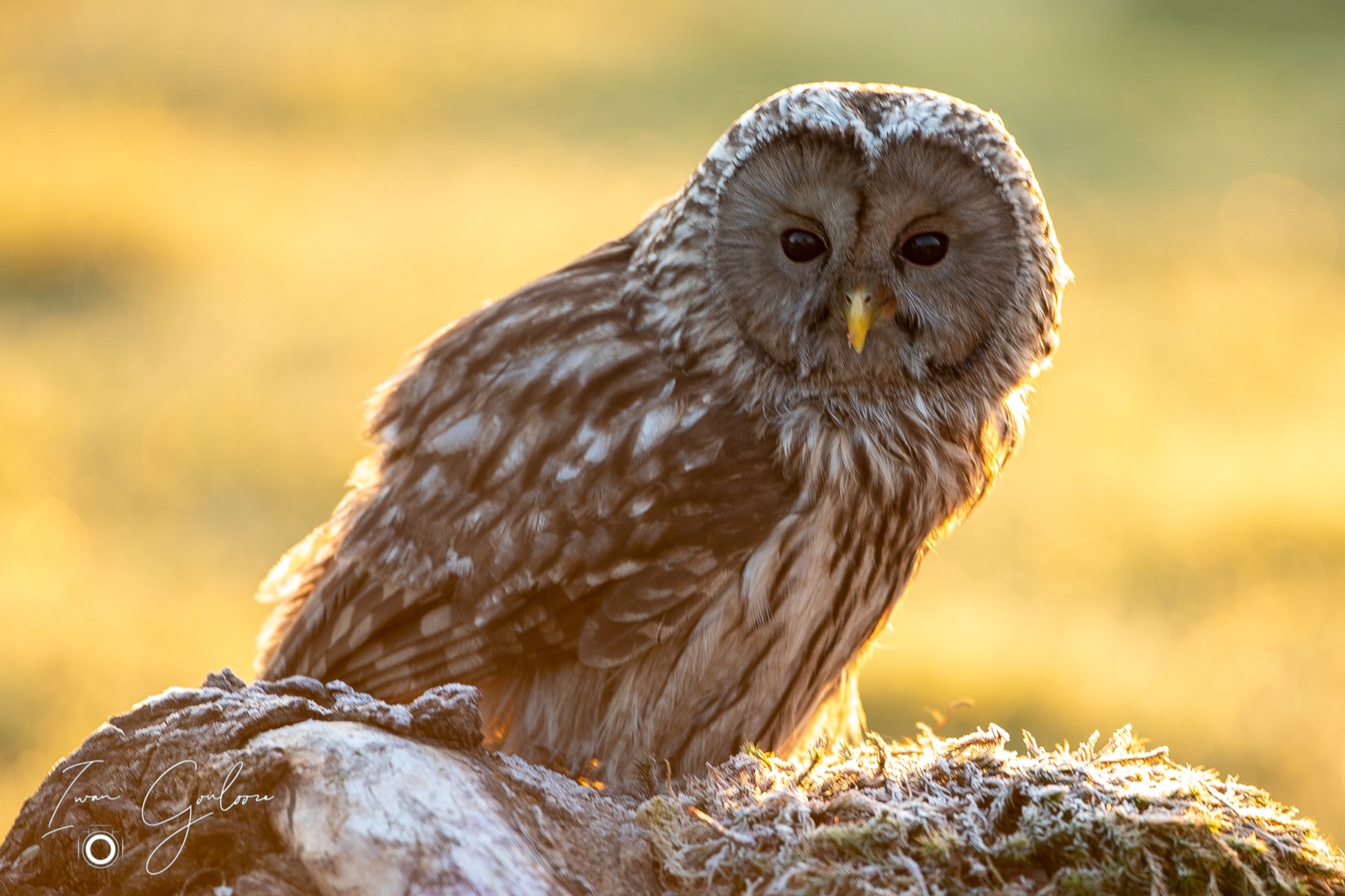 27 april 2022 064658  5D46917